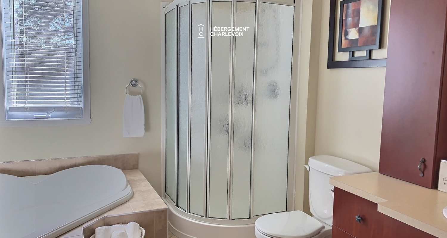 BOI-2 - Large chalet with billiards, spa and nature